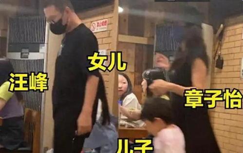 大锤爆料章子怡视频,大锤爆料背后的真相揭秘  第2张